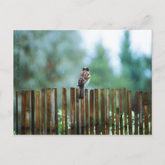 待機(_L) ポストカード