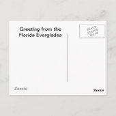 後でアリゲーターに会う ポストカード (裏面)