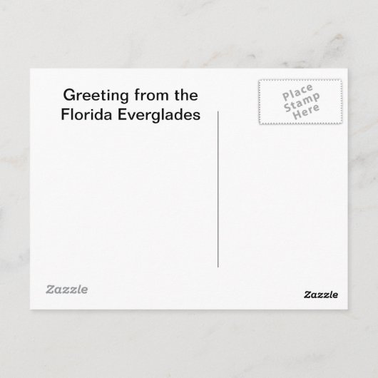 後でアリゲーターに会う ポストカード (裏面)