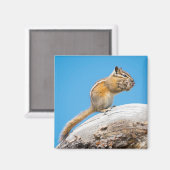 後で少遠くにし マグネット (正面/裏面)