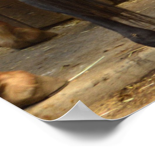 後ろから ポスター (角)