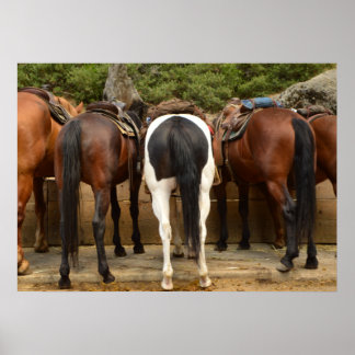 後ろから ポスター