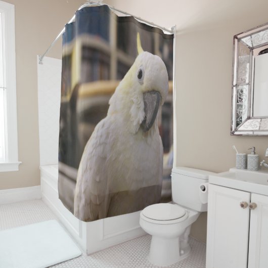 後ろに……そうだろ？ シャワーカーテン (インサイチュ)