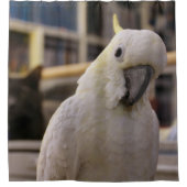 後ろに……そうだろ？ シャワーカーテン (正面)