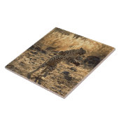 後ろ足のアフリカのヒョウ、ナミビア、アフリカ タイル (側面)