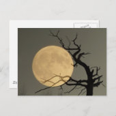 後ろ – 裸木のコラージュの背後にある満月 ポストカード (正面/裏面)