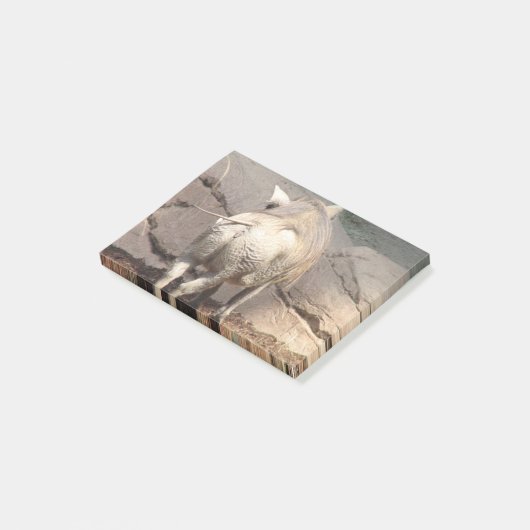 後ろWarthog ポストイット (アングル)