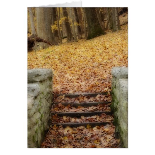 後を追パス (正面)