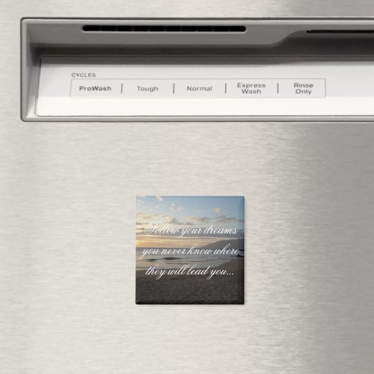 後を追夢 マグネット (インサイチュ (食洗機))