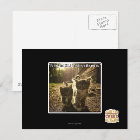 後を追子 ポストカード (正面/裏面)