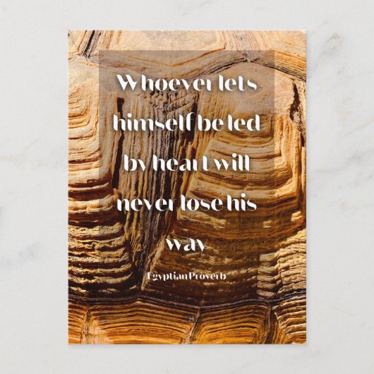 後を追感動的ハート ポストカード (正面)