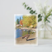 後を追私 ポストカード (スタンド正面)