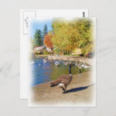 後を追私 ポストカード (正面/裏面)