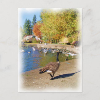 後を追私 ポストカード