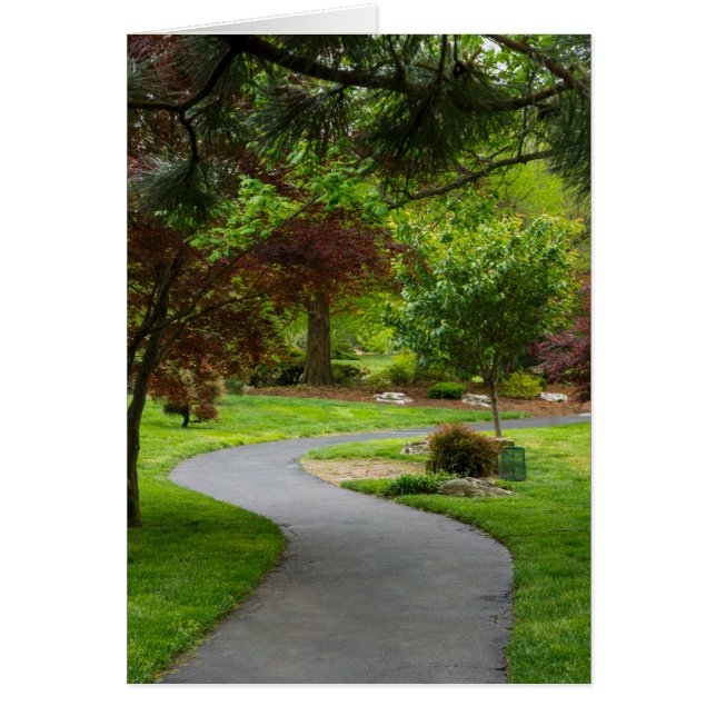 後を追路 (正面)