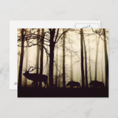 後を追長 ポストカード (正面/裏面)