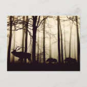 後を追長 ポストカード (正面)