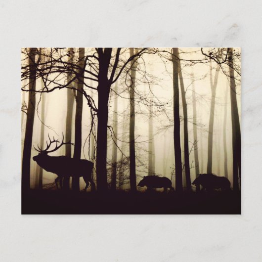 後を追長 ポストカード (正面)