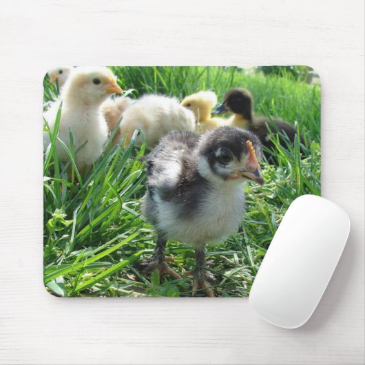 後を追長 マウスパッド (マウス)