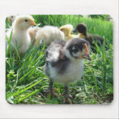 後を追長 マウスパッド (正面)