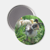 後を追長 マグネット (正面/裏面)