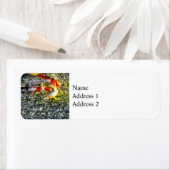 後を追長 ラベル (インサイチュ)