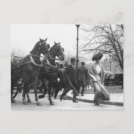 後を追1908年 ポストカード (正面)