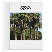 後を追Dreamsノートカ感動的ード (内側 (右))