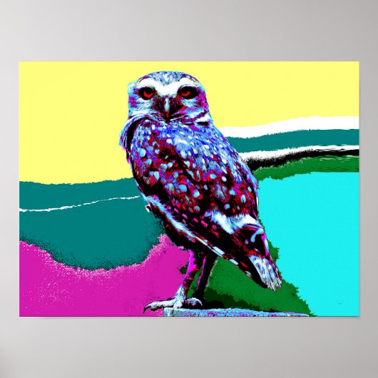 後カラフル先のフクロウ ポスター (正面)