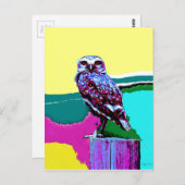 後カラフル先のフクロウ ポストカード (正面/裏面)