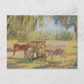 後交配=駅食べ物を与え2馬とロバ ポストカード (正面)