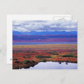 後半のデナリ国立公園のツンドラ ポストカード (正面/裏面)