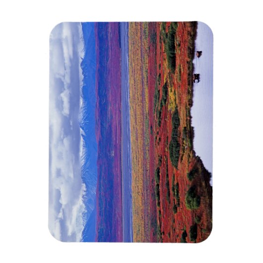 後半のデナリ国立公園のツンドラ マグネット (縦)