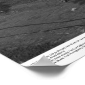 後半の日サイントシトラスオーチャード近くのリバーサイド ポスター (角)