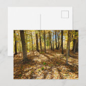 後半秋の森 ポストカード (正面/裏面)