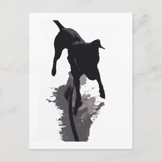 後天的な犬と影 ポストカード (正面)