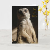 後悔-私はSoSorryの謝罪または悔やみや弔慰のかわいいカードです カード (黄色い花)