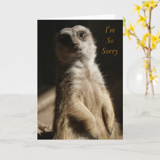 後悔-私はSoSorryの謝罪または悔やみや弔慰のかわいいカードです カード (黄色い花)