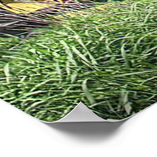 後方視界 ポスター (角)