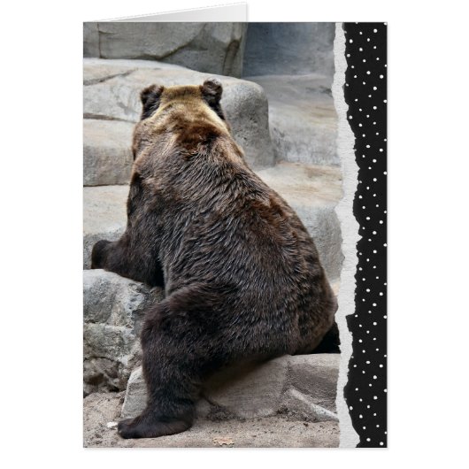 後方誕生日ベア (正面)