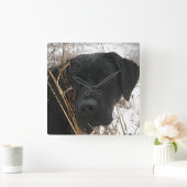 後期狩り – ブラックラボ – ラブラドール スクエア壁時計 (ホーム)