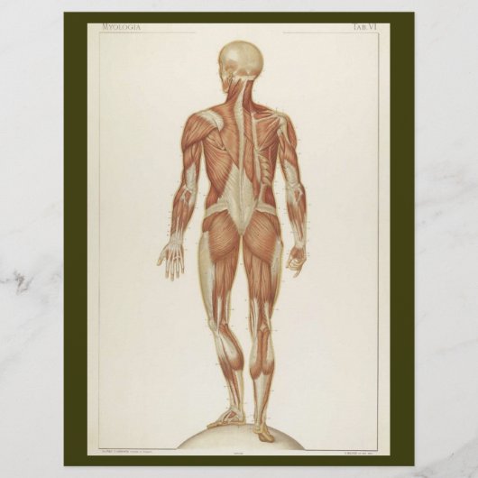 後筋フライヤー チラシ (正面)