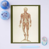 後筋フライヤー チラシ (シングル)