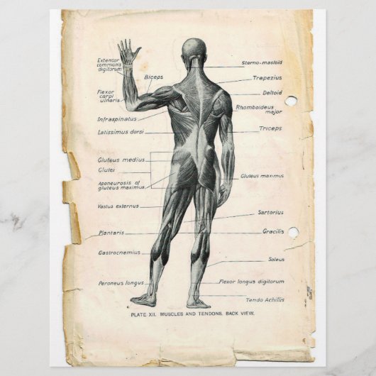 後筋フライヤー チラシ (正面)