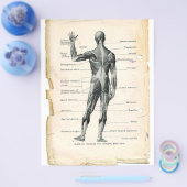 後筋フライヤー チラシ (シングル)