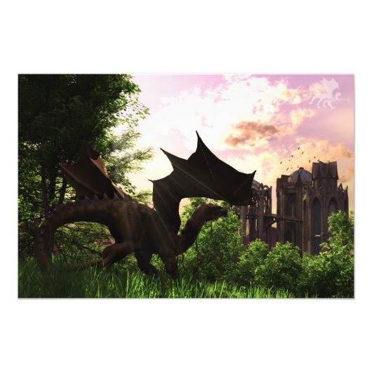 後見人 フォトプリント            (正面)