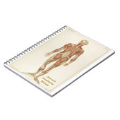 後部解剖学 ノートブック (左側)