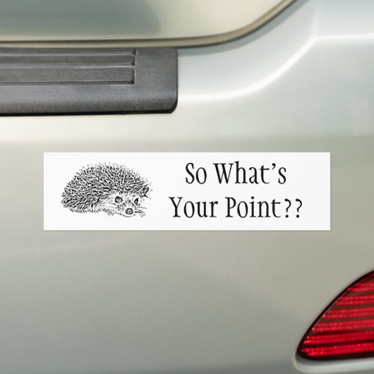 従ってあなたのポイントは何ですか。か。 バンパーステッカー (車上)