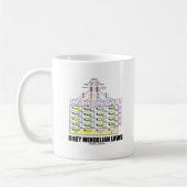 従って下さいMendelian法律(Dihybrid十字のエンドウ豆)に コーヒーマグカップ (左)