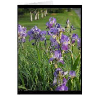 従って春の~ 21の用意して下さい